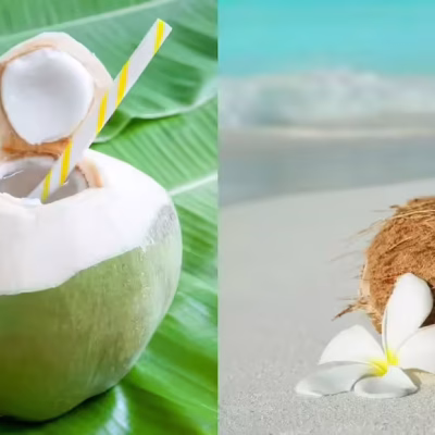 The Green Gold: Why Coconut Water is the Drink Your Body Is Begging For