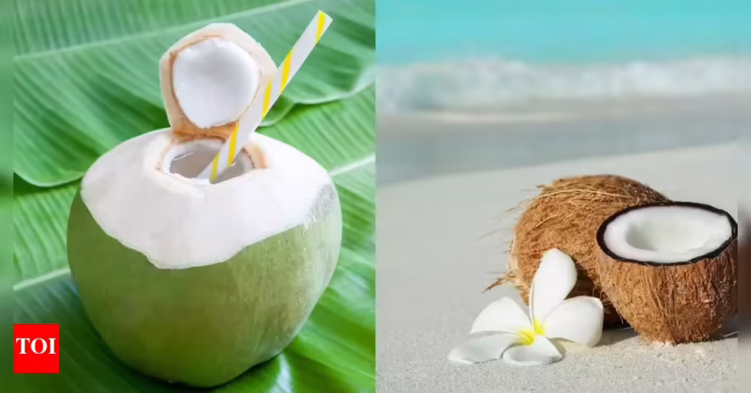 The Green Gold: Why Coconut Water is the Drink Your Body Is Begging For