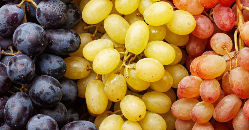 Four Things Grapes Do for You When Nobody’s Watching