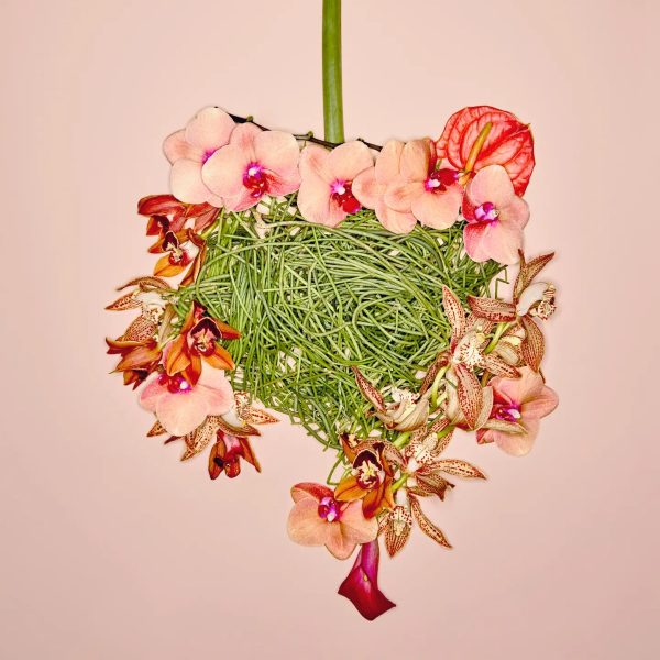 The Gut Health Boom: Experts Say These Everyday Habits Matter Most