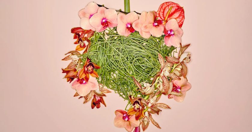 The Gut Health Boom: Experts Say These Everyday Habits Matter Most