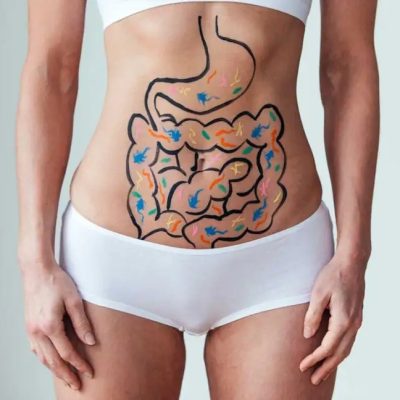 The Gut-Mind Connection: Why Your Belly Fat Might Be ‘Emotional Armor’