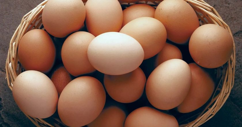 Why Eggs Are Being Reconsidered as One of the Healthiest Foods on Earth