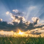Sunshine and the Brain: Why Vitamin D Matters More Than You Think