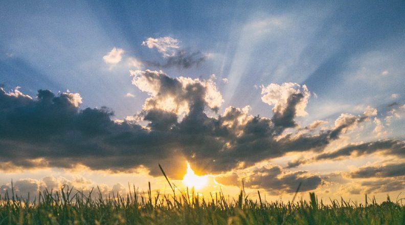 Sunshine and the Brain: Why Vitamin D Matters More Than You Think